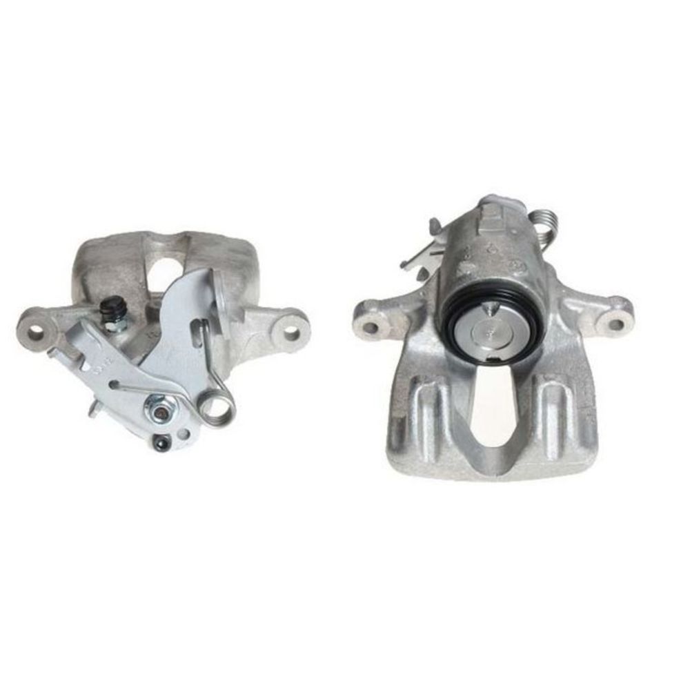 Jarrusatula 23-00306