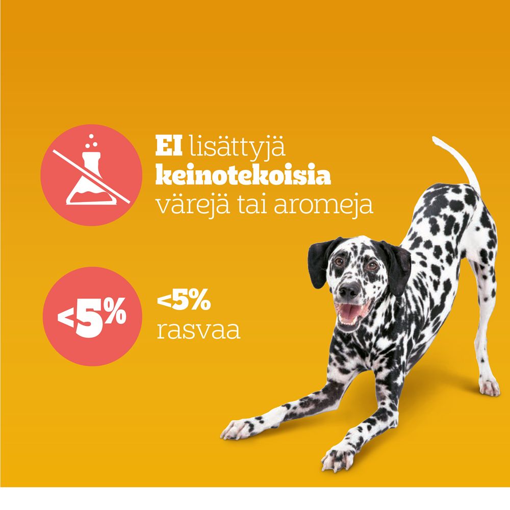 Pedigree Multivitamins Joint Care Kanaa 180 g