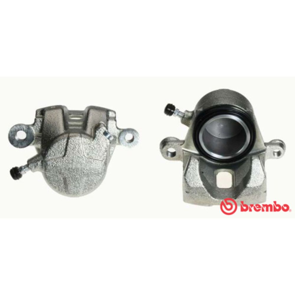 Jarrusatula 23-02323