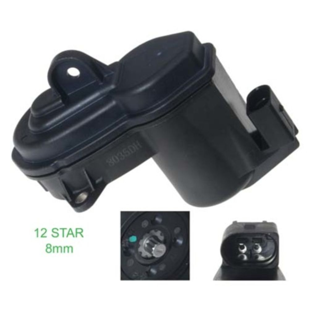 Jarrusatula 23-00905