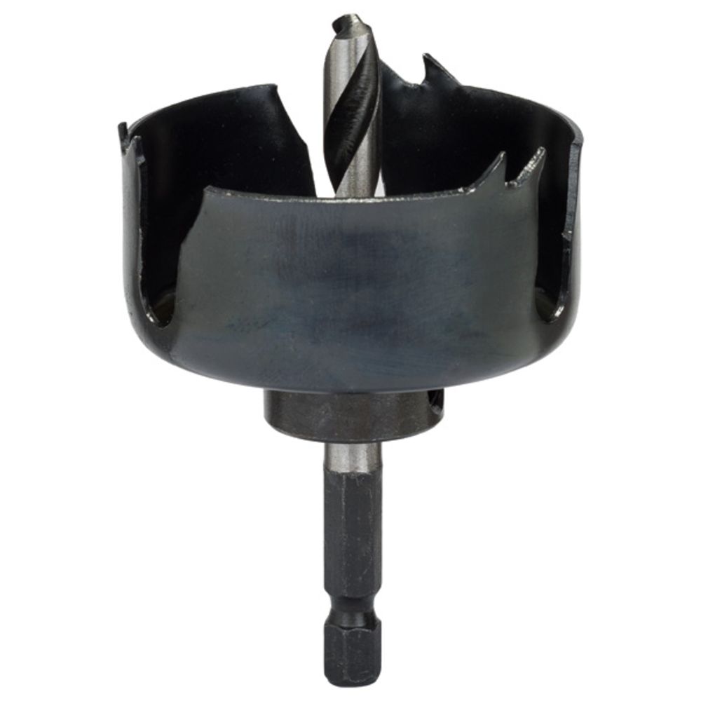 Bosch augusaag puidule 54 mm