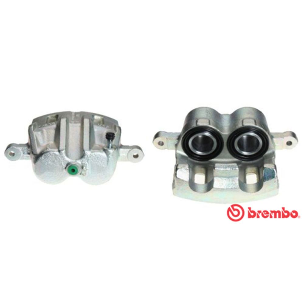 Jarrusatula 23-01358