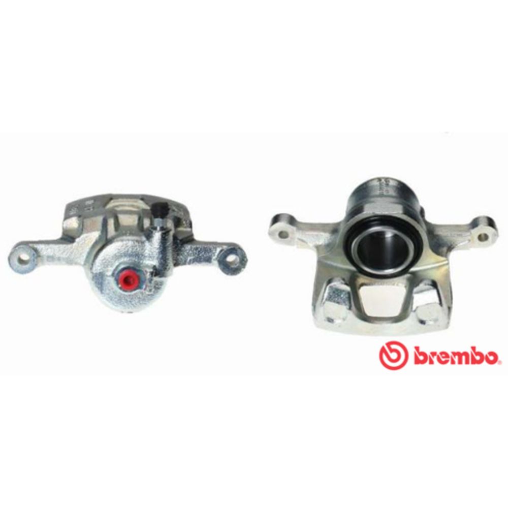 Jarrusatula 77-14059