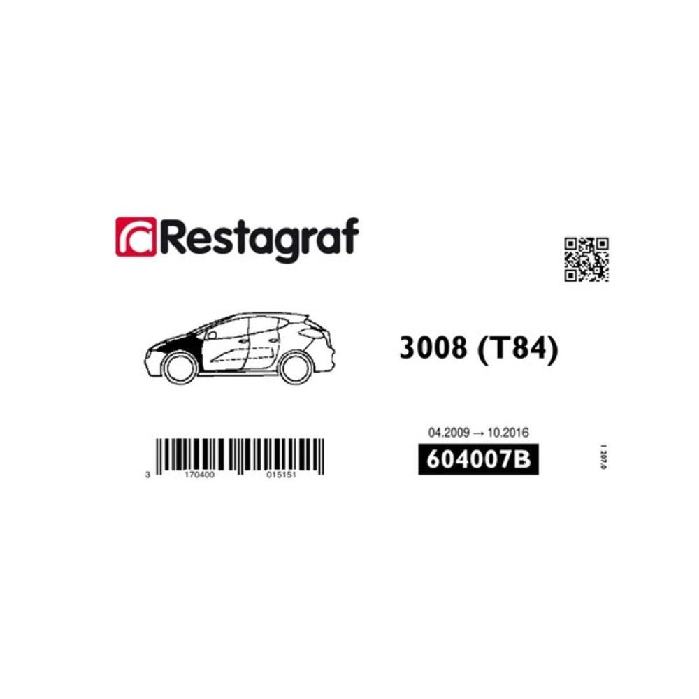 Kinnituskomplekt Peugeot poritiib 604007B 12 osa