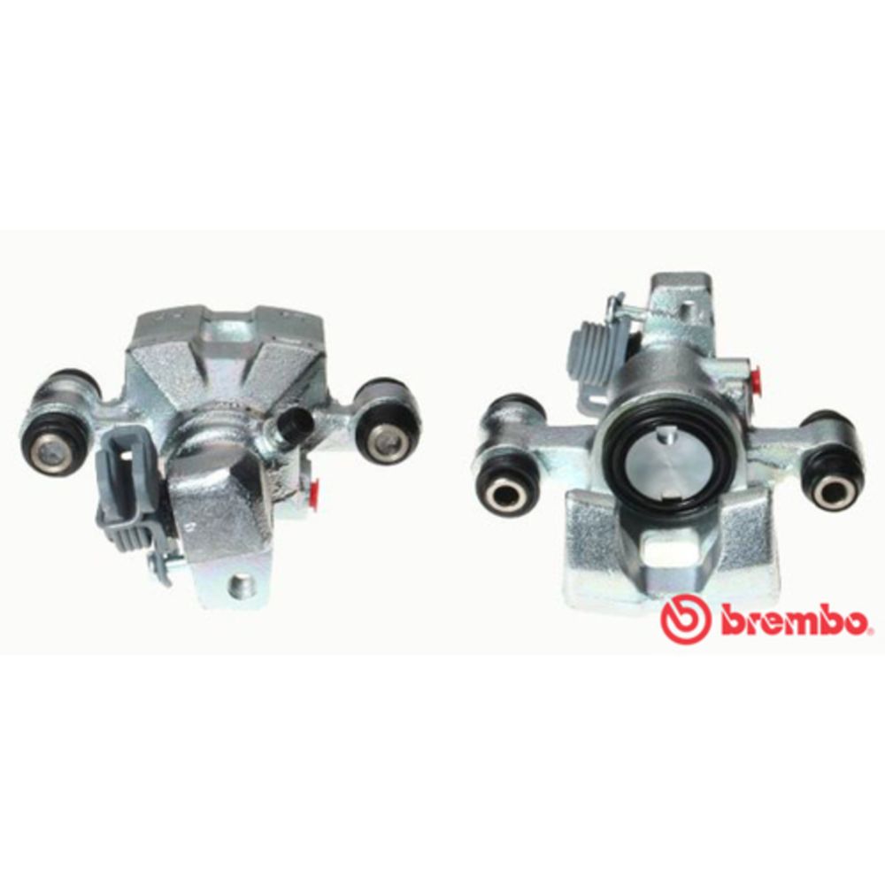 Jarrusatula 23-02944