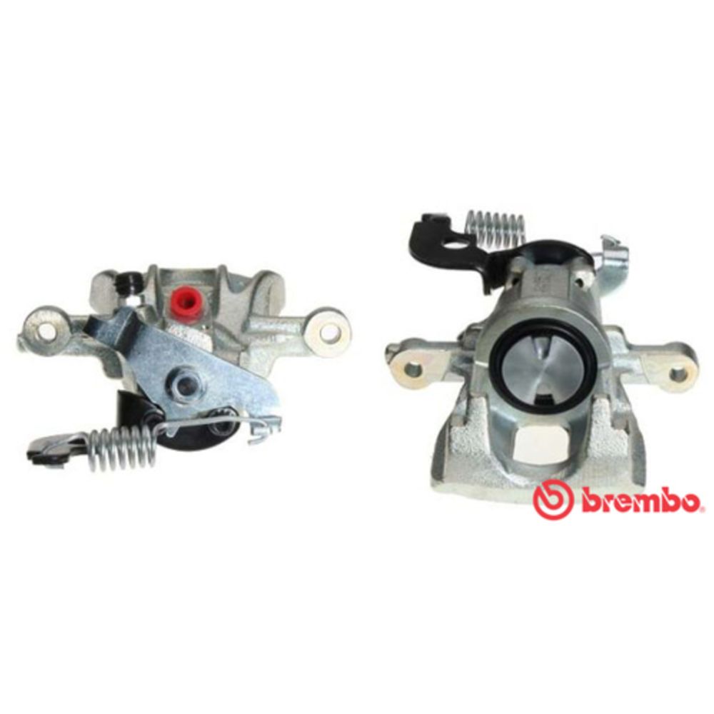 Jarrusatula 77-01852