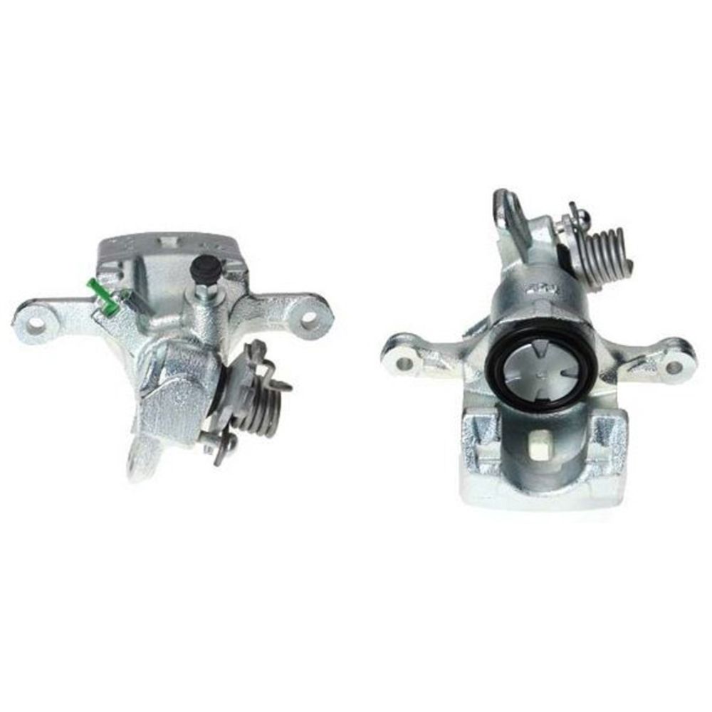 Jarrusatula 23-00075