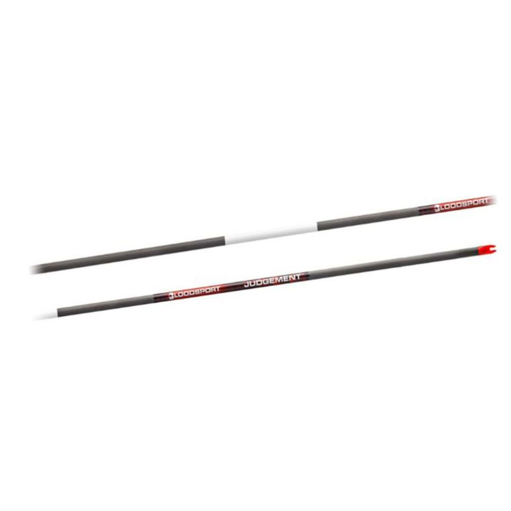 Bloodsport JUDGEMENT hiilikuitu nuoliputki Spine 350, 12 kpl