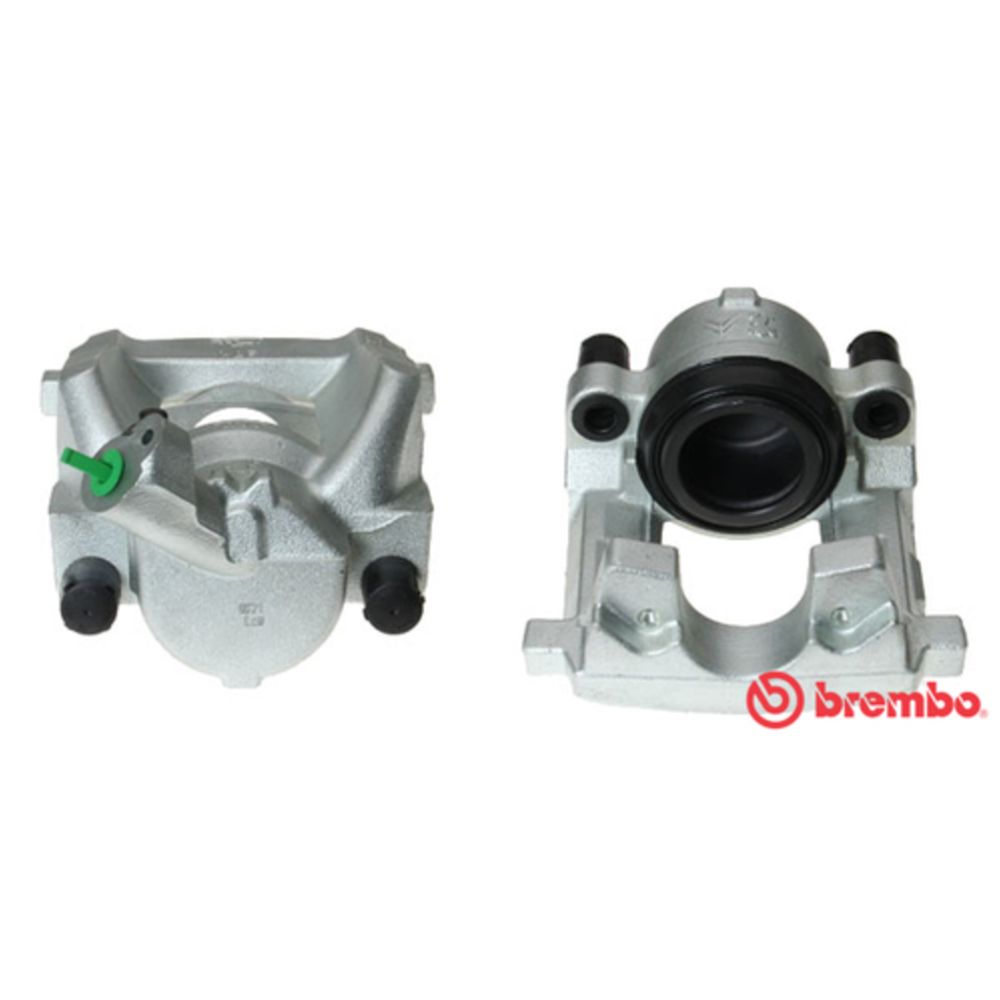 Jarrusatula 23-00421