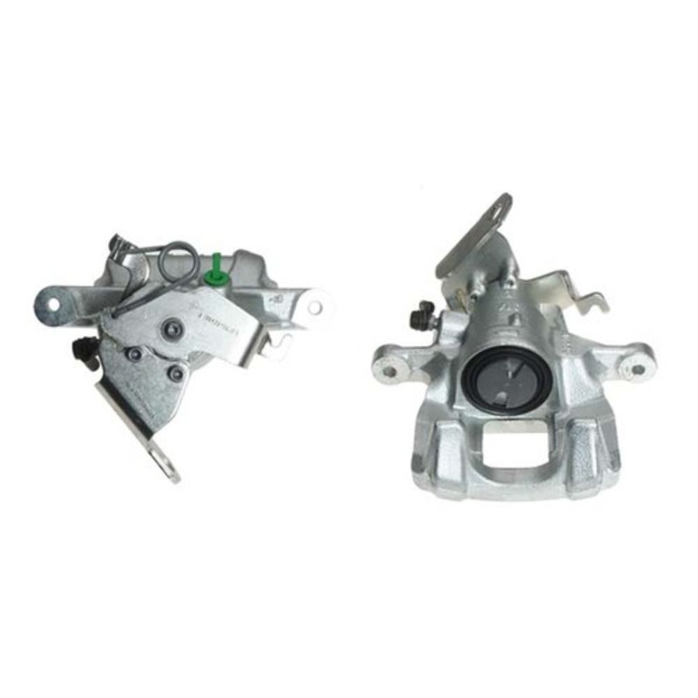 Jarrusatula 23-00970