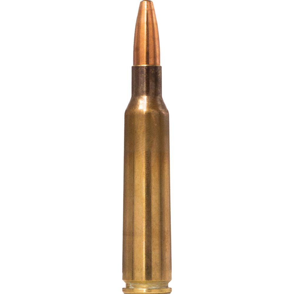 Norma Range &Training 6,5x55 8,0g/124gr FMJ 50 kpl