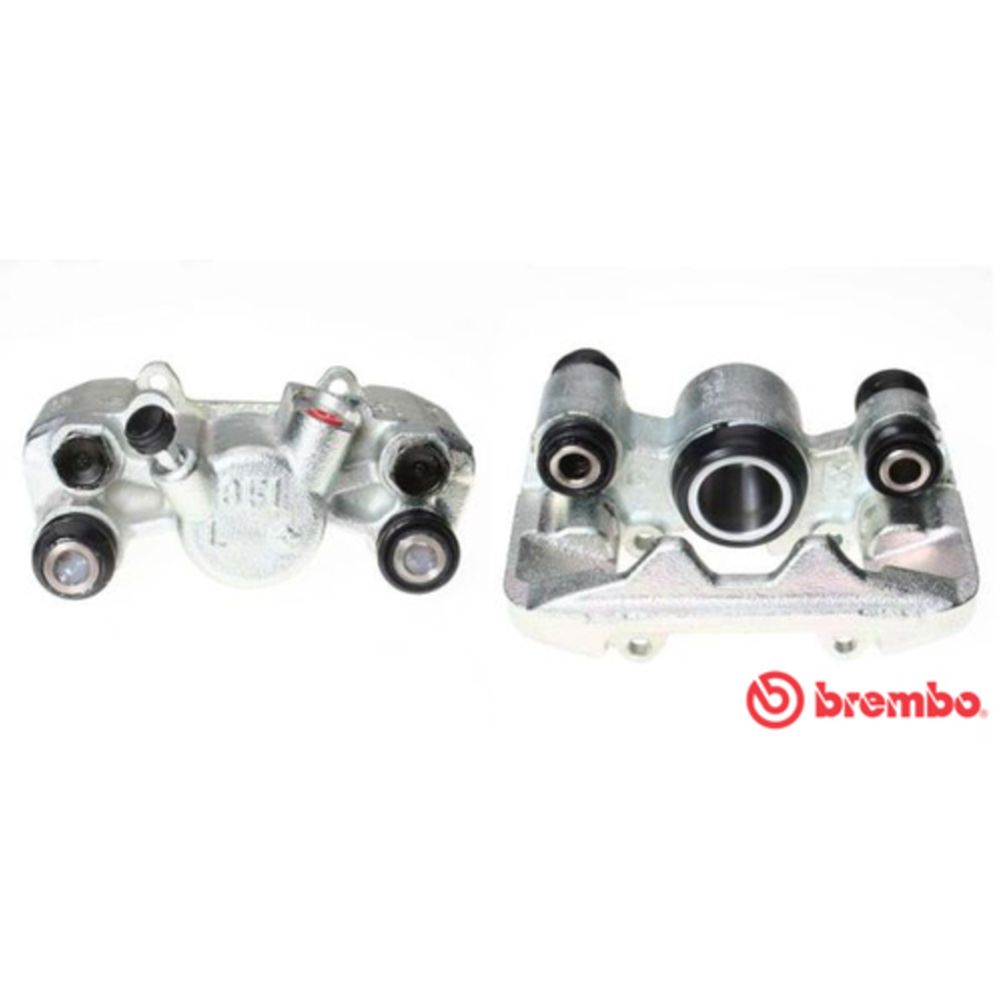 Jarrusatula 23-01527