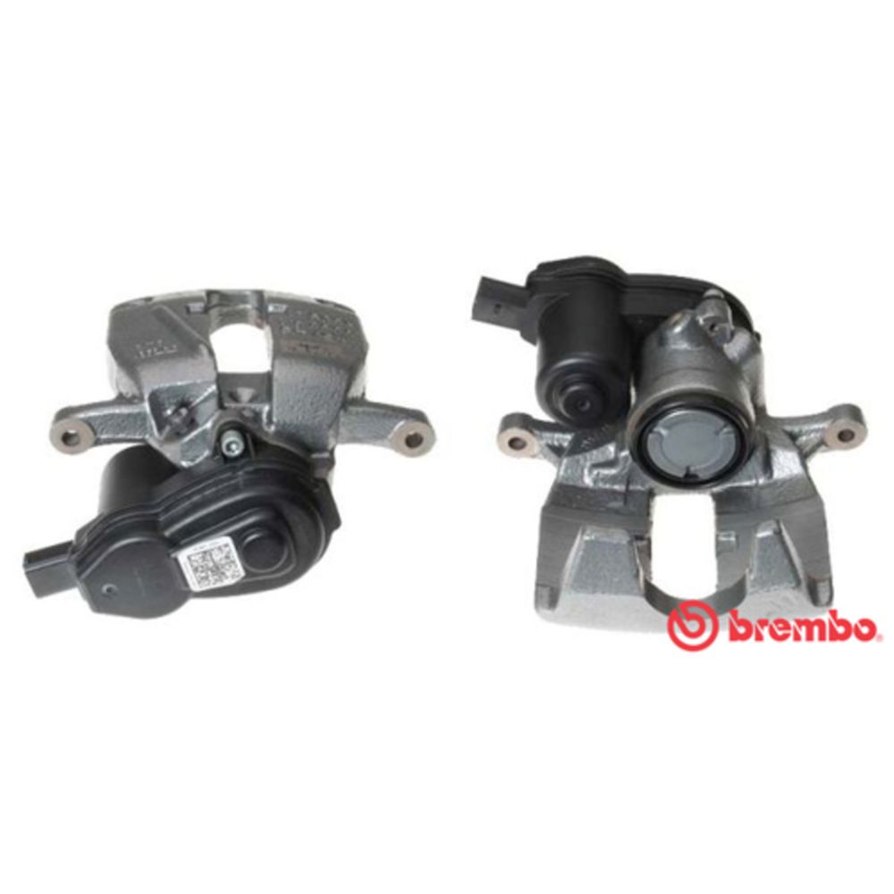 Jarrusatula 23-00922