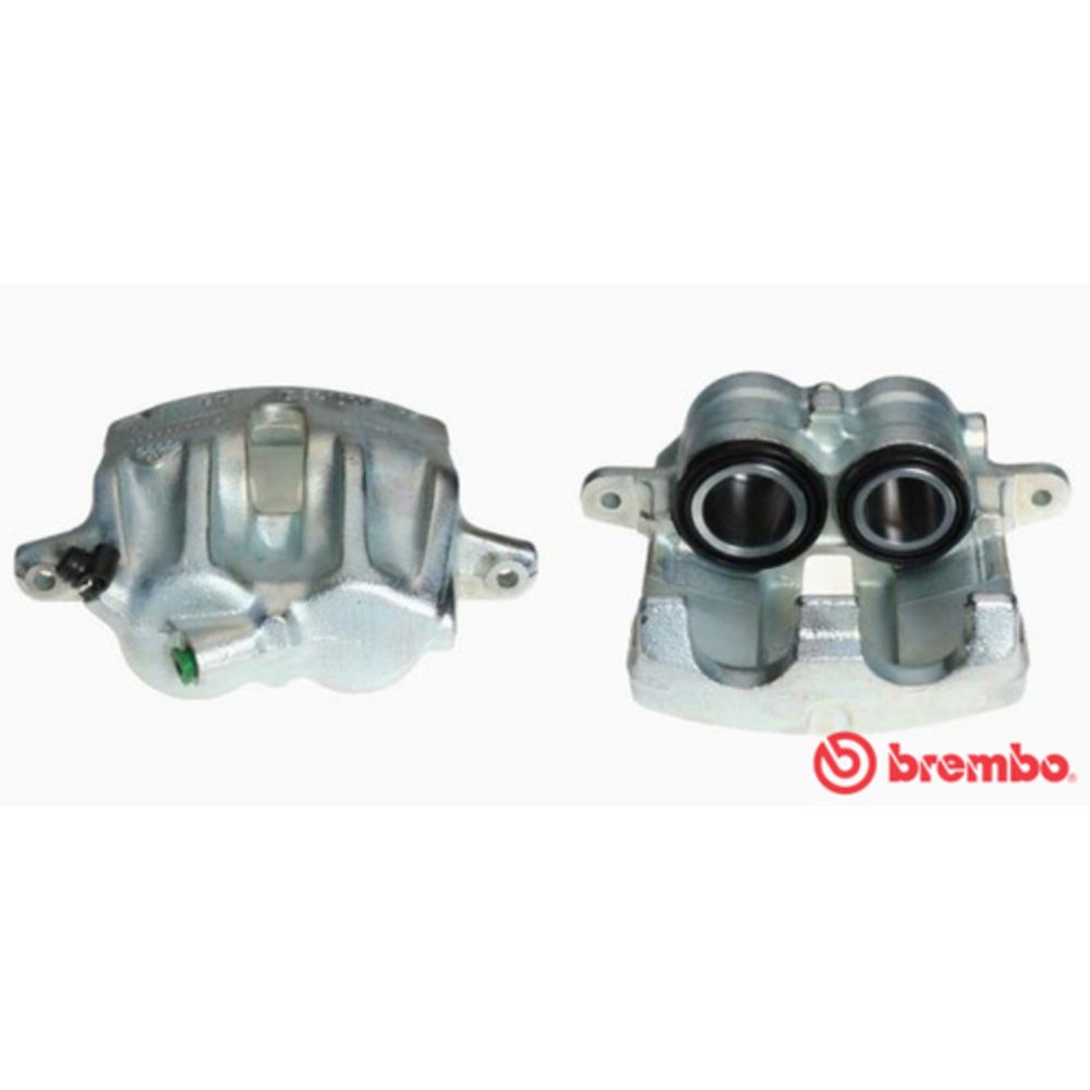 Jarrusatula 23-00110