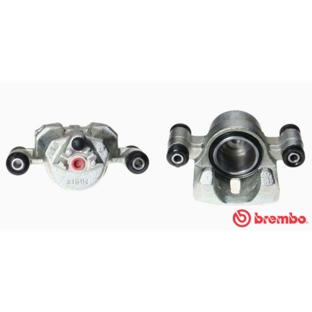 Jarrusatula 23-00084