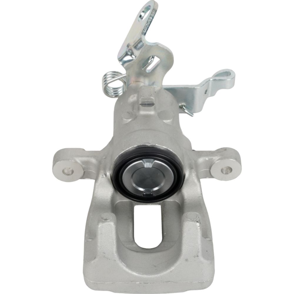 Jarrusatula 23-02666