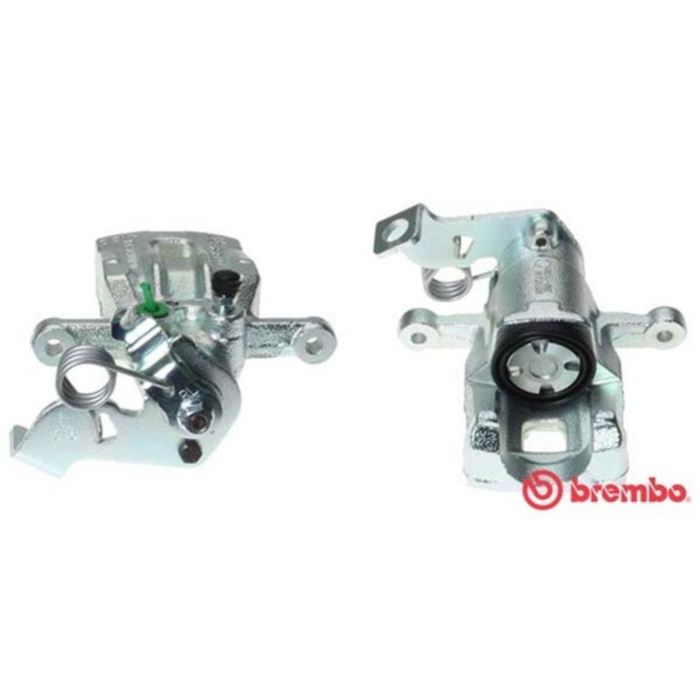 Jarrusatula 23-00554