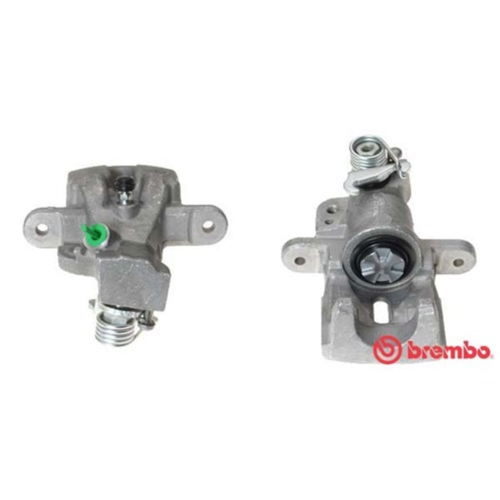 Jarrusatula 23-01115