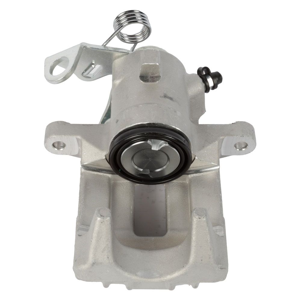 Jarrusatula 23-00799