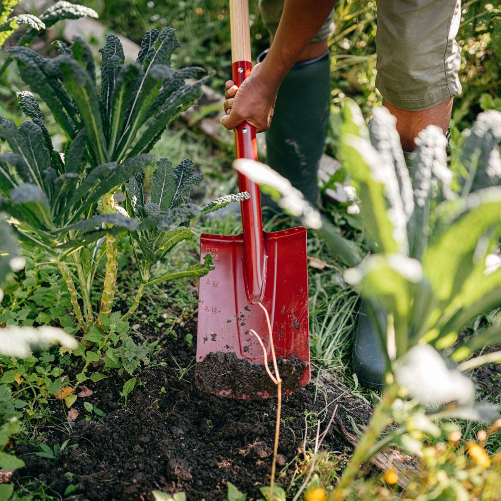 Fiskars Classic trädgårdsspade FSC
