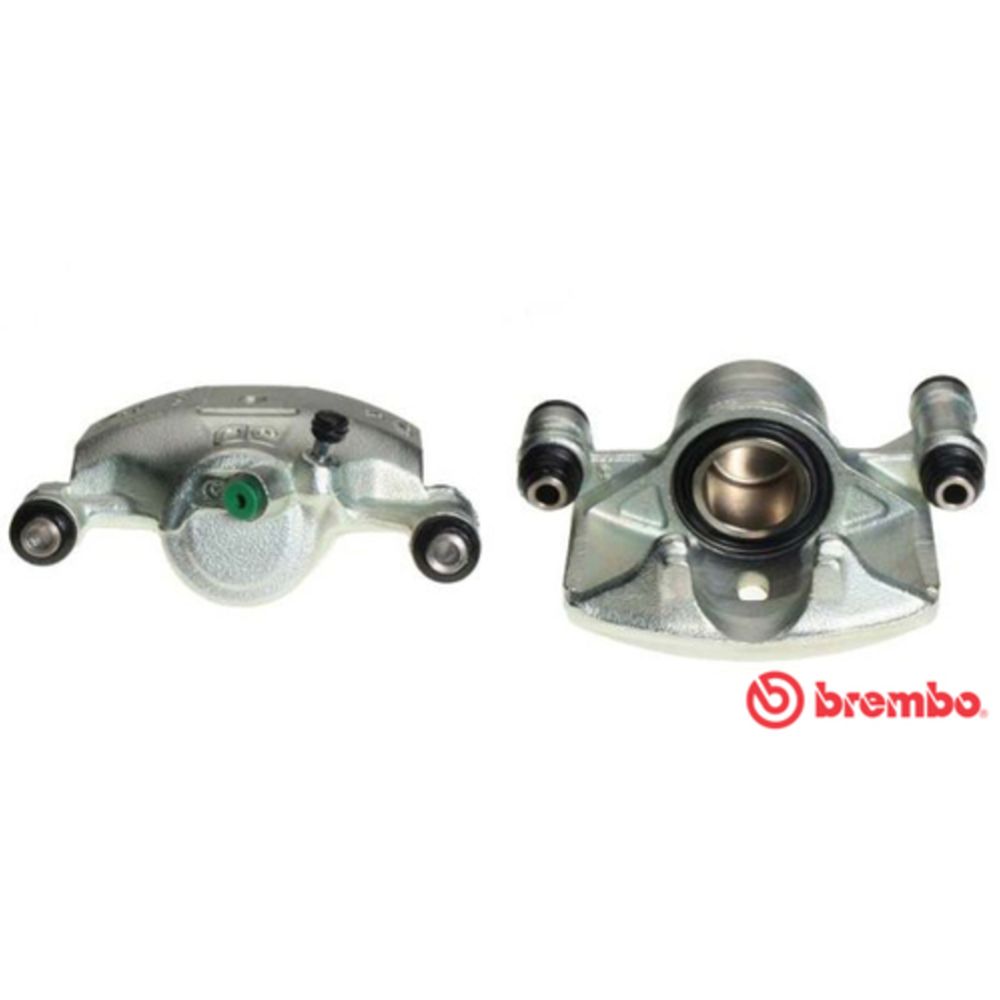 Jarrusatula 23-00148