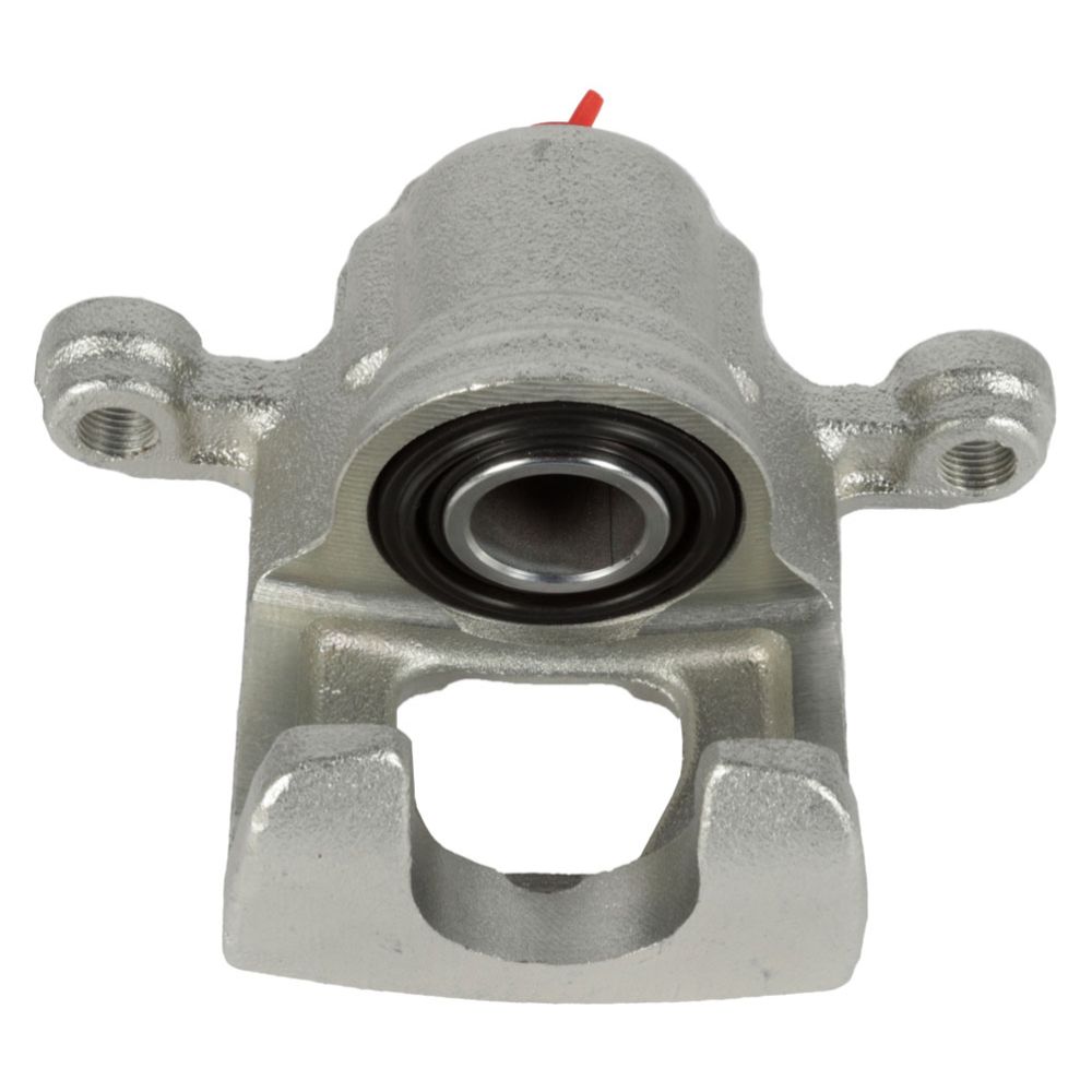 Jarrusatula 23-00720