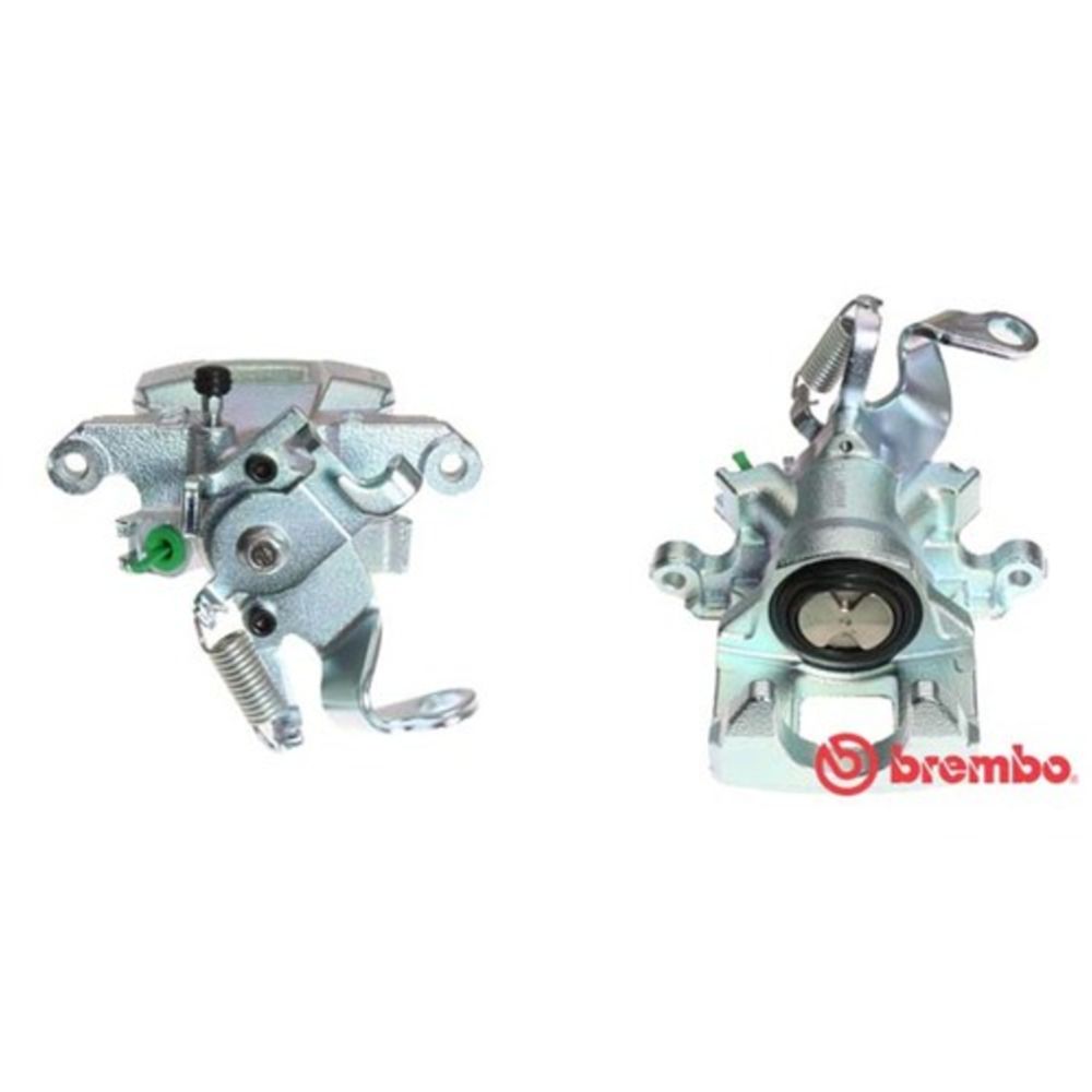 Jarrusatula 23-00491