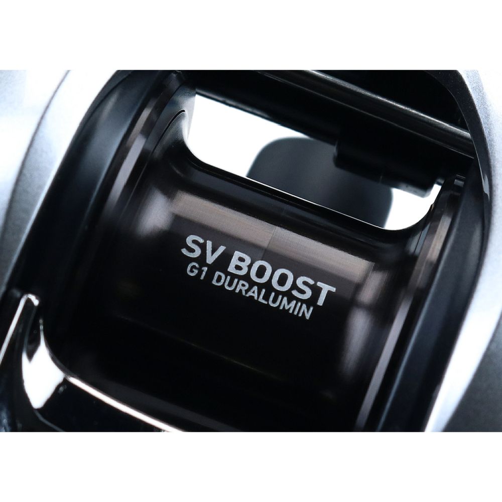 Daiwa 21 Zillion SV TW 100H multirulle