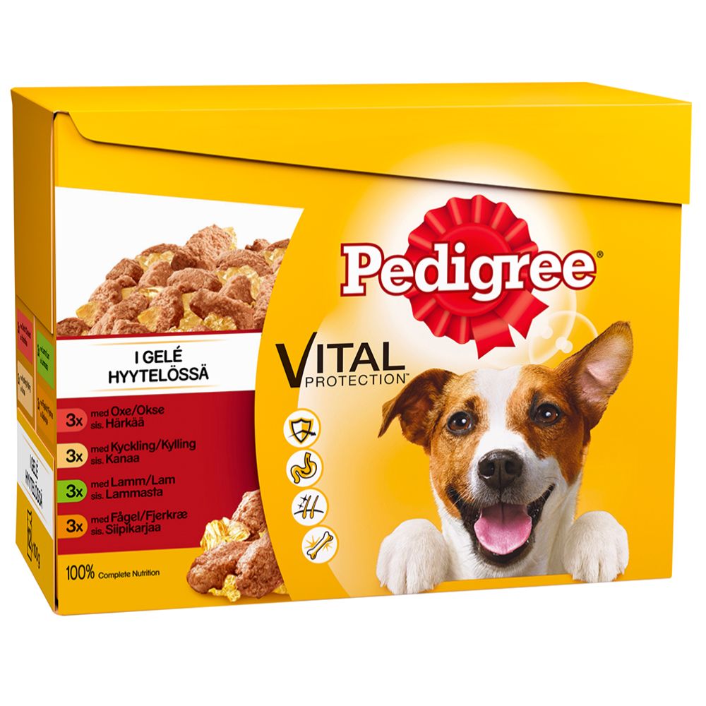 Pedigree hyytelölajitelma 12 x 100 g