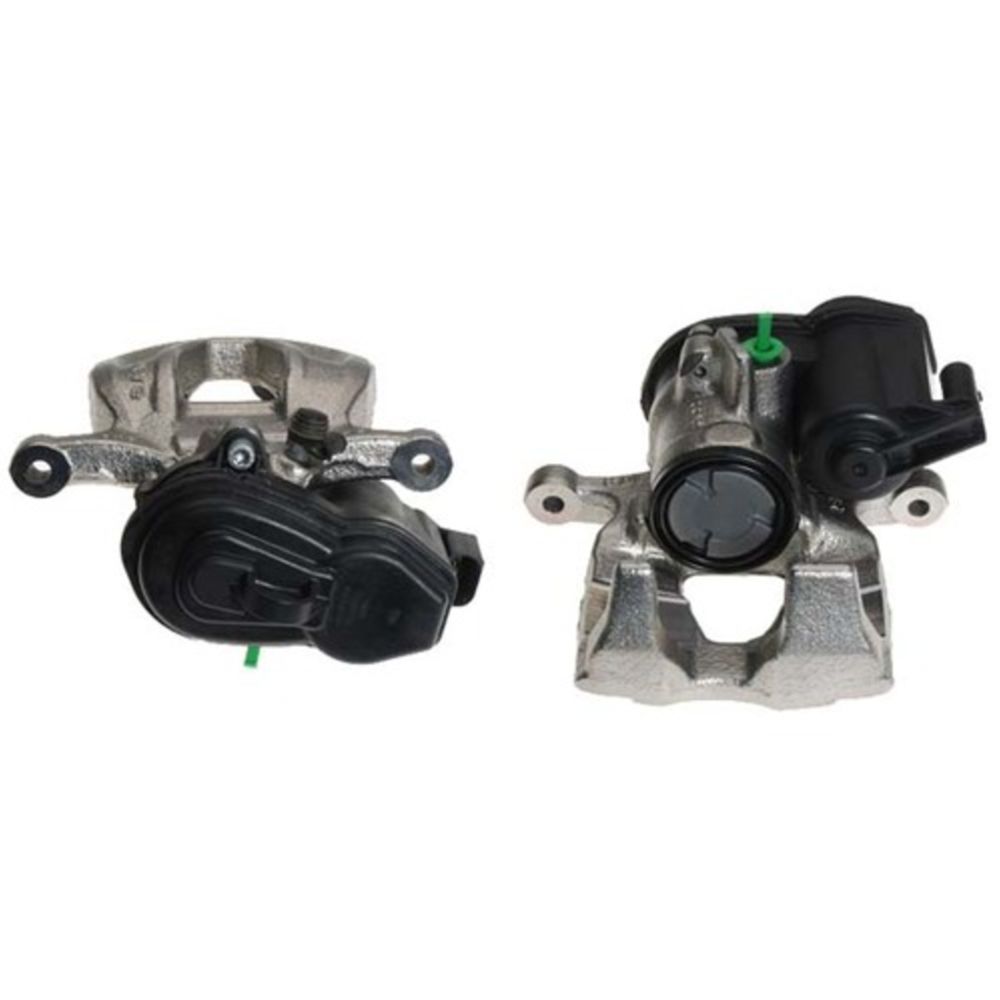 Jarrusatula 23-00903