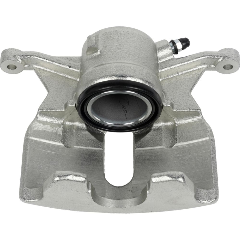 Jarrusatula 23-02660