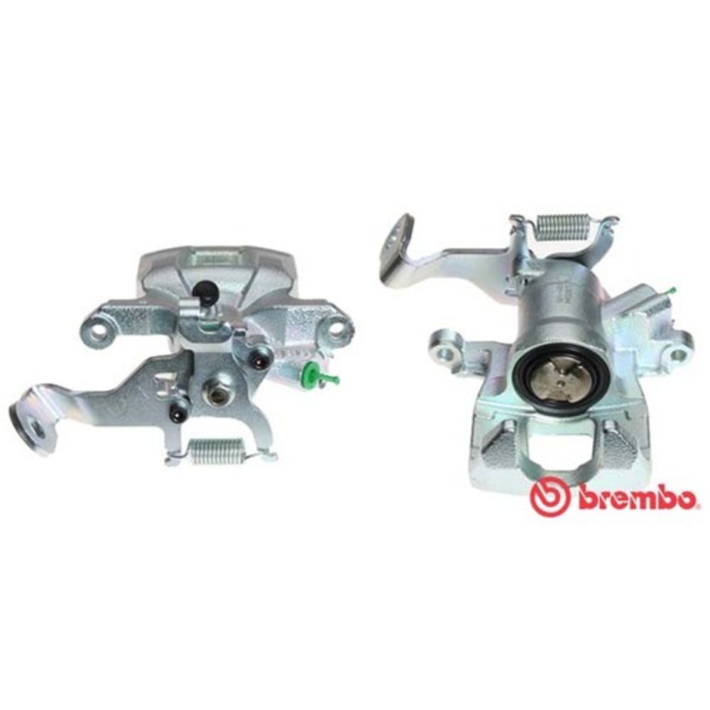 Jarrusatula 23-00070