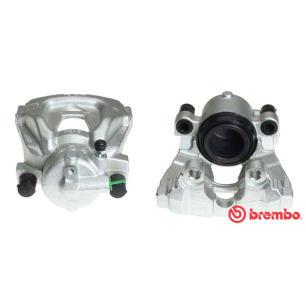 Jarrusatula 23-01309