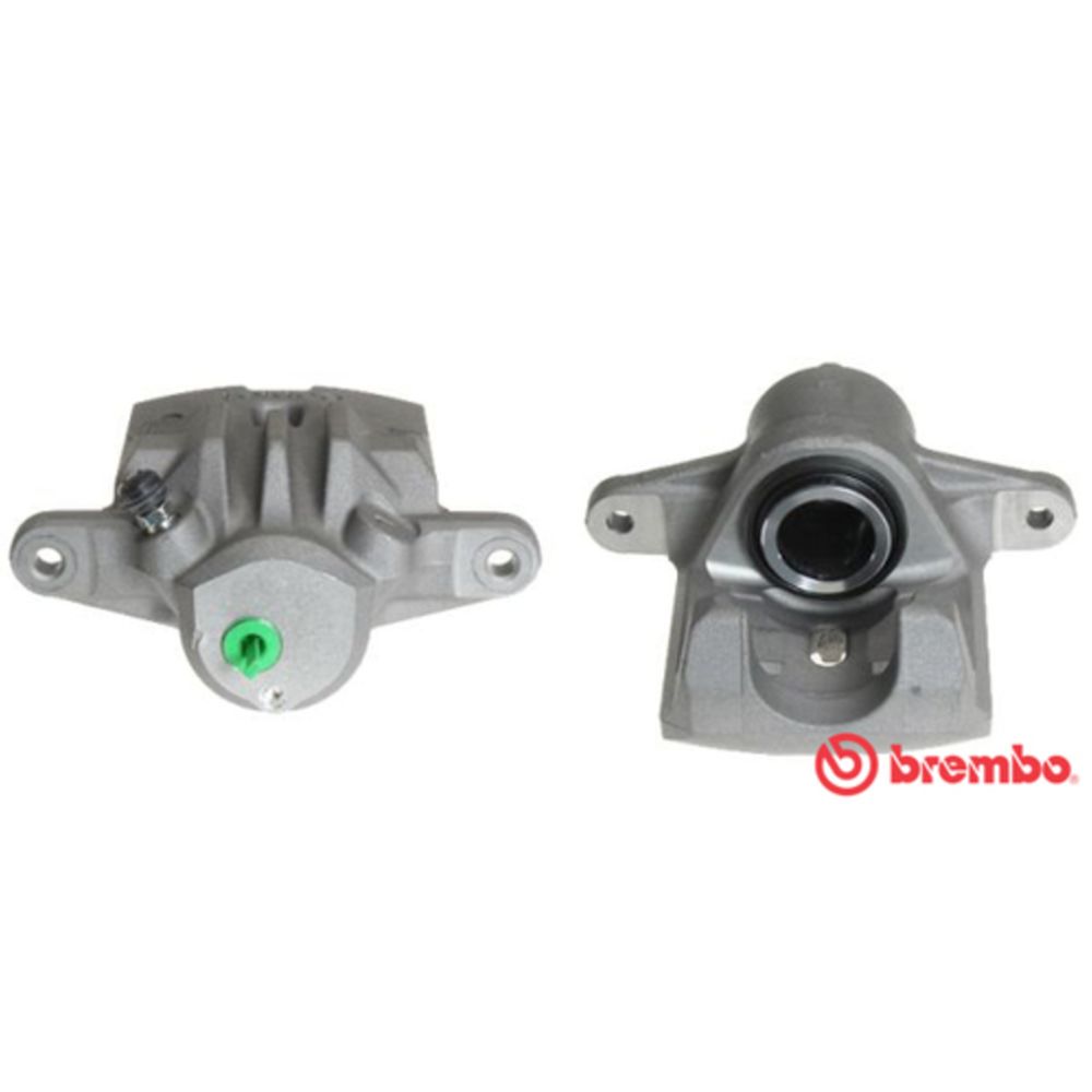 Jarrusatula 23-01307