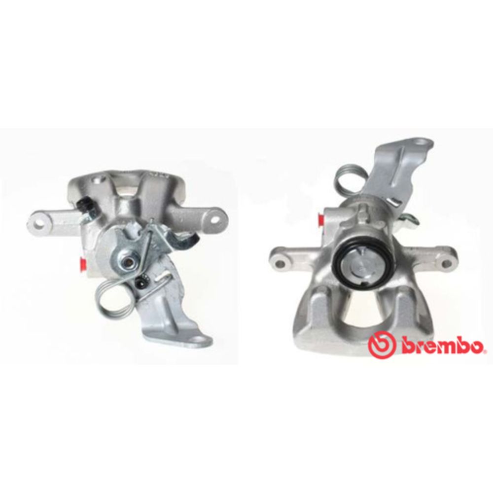 Jarrusatula 23-01524