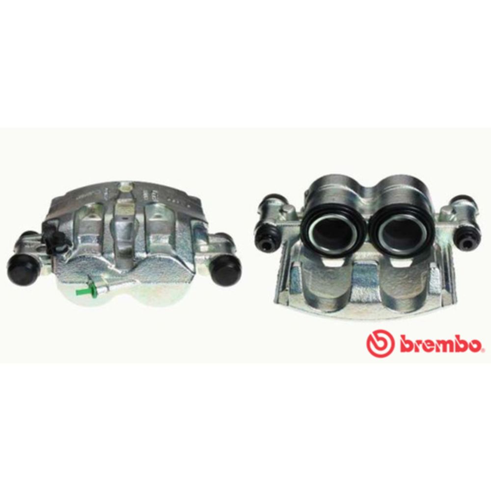 Jarrusatula 23-01411