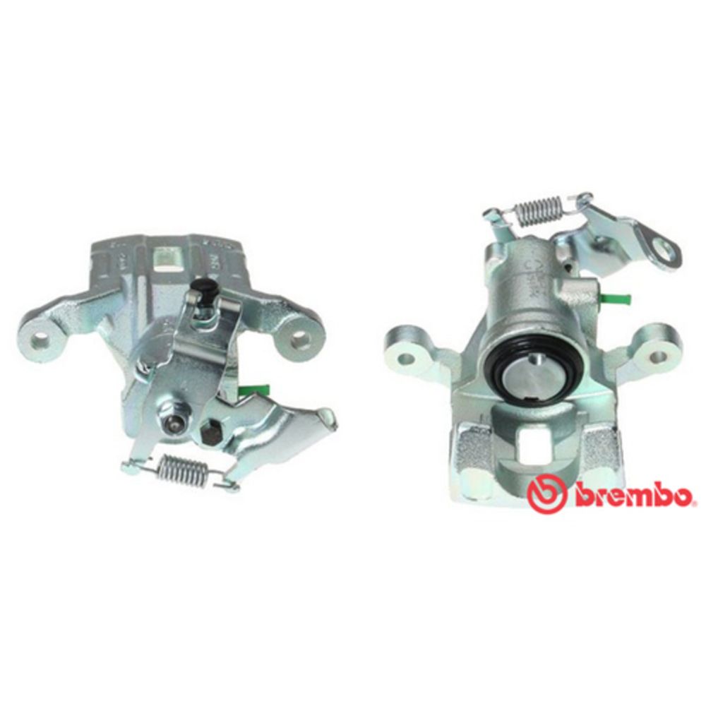 Jarrusatula 23-01487