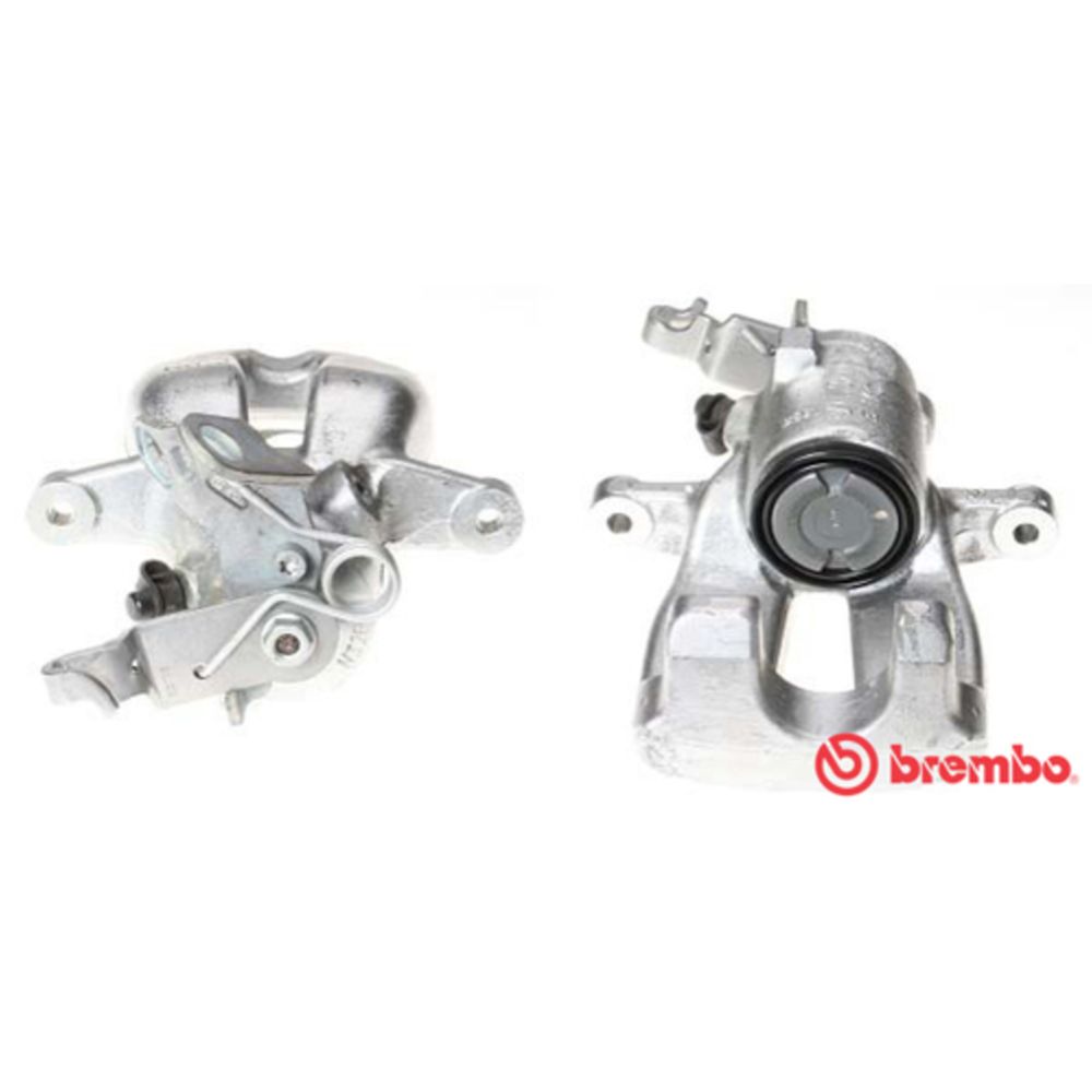 Jarrusatula 23-00536