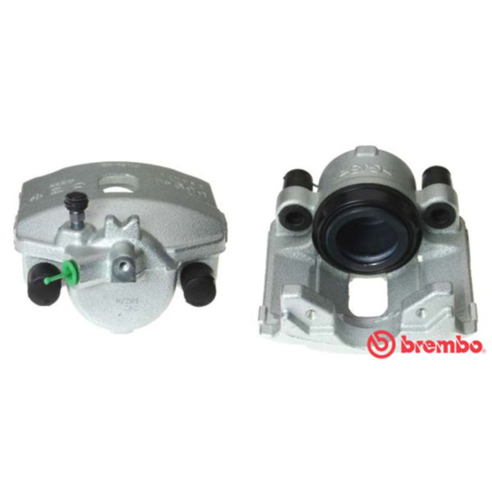 Jarrusatula 23-01305