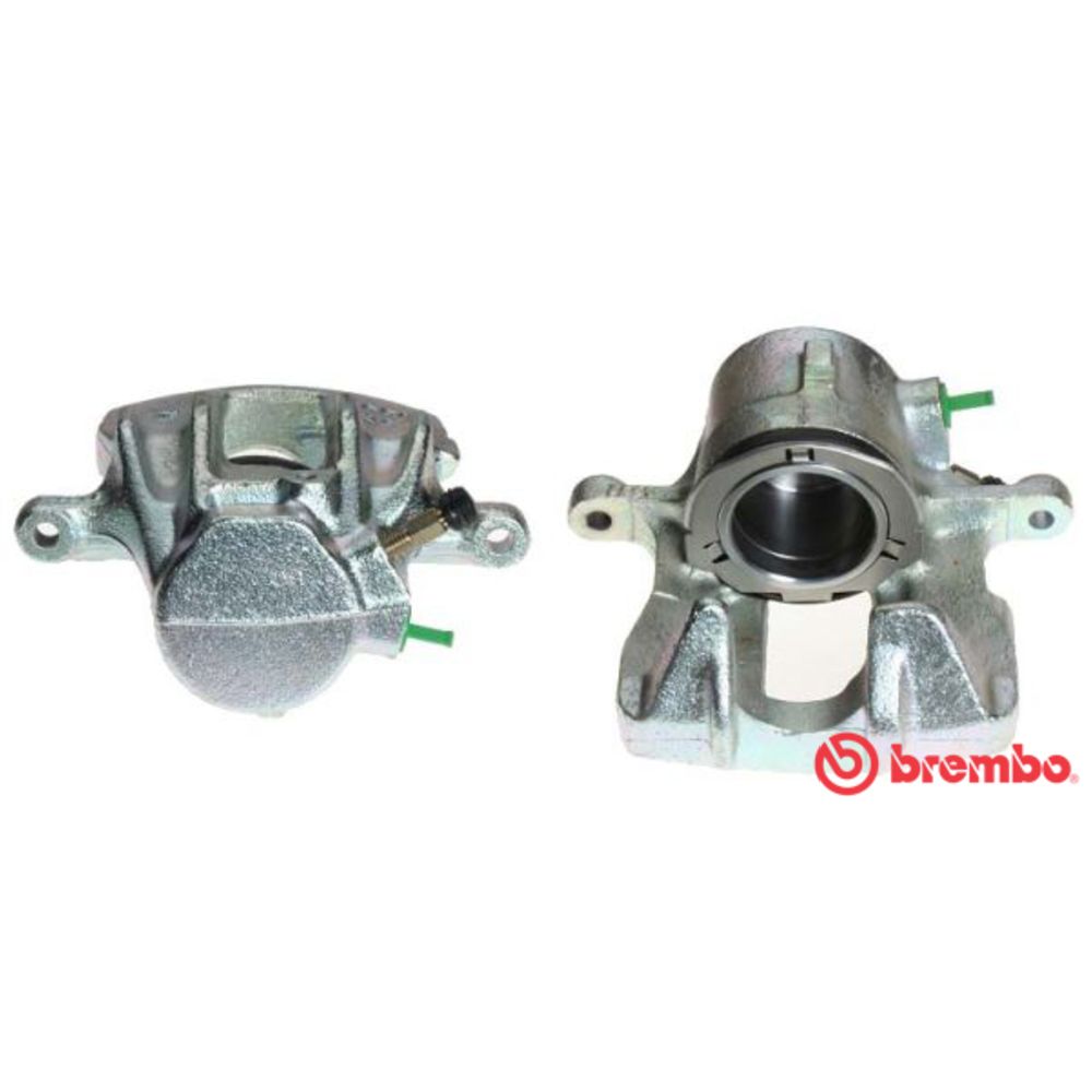 Jarrusatula 23-00026