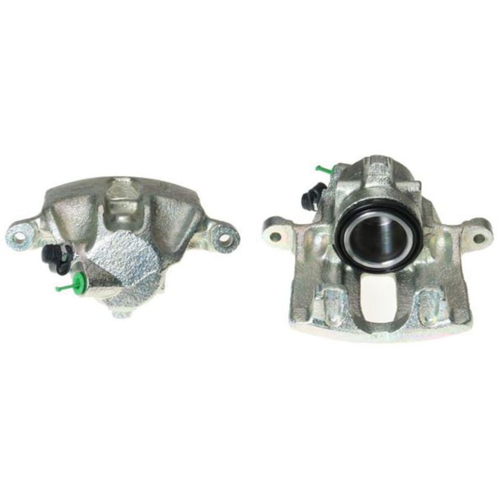 Jarrusatula 23-00023