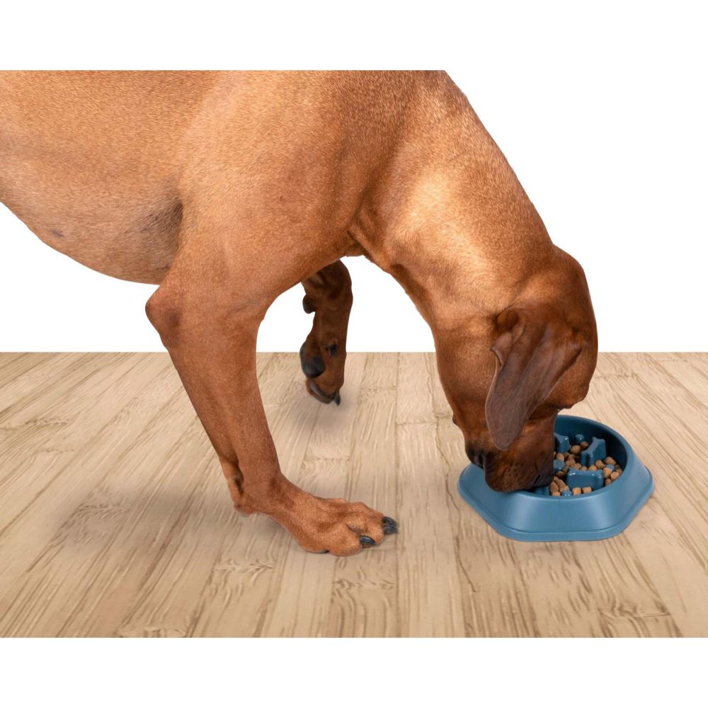 Pet Treatment Koiran slow feeder ruokakuppi