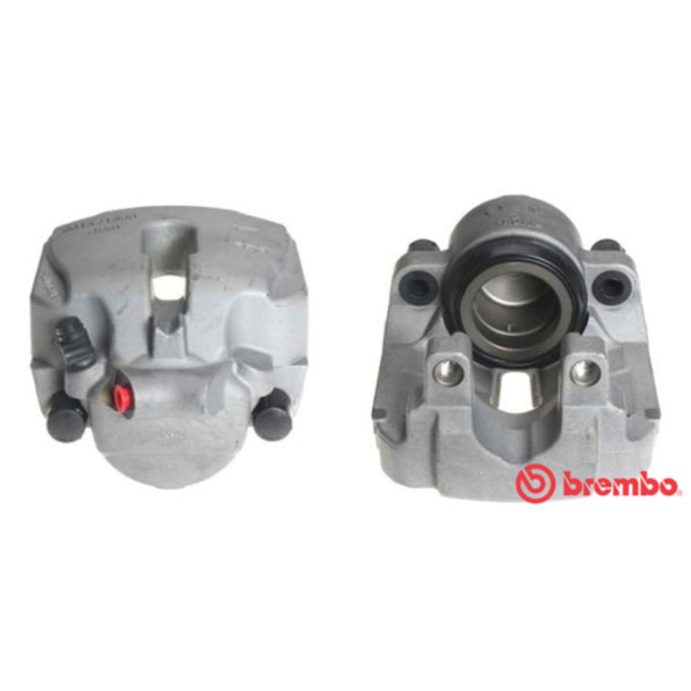 Jarrusatula 23-00445