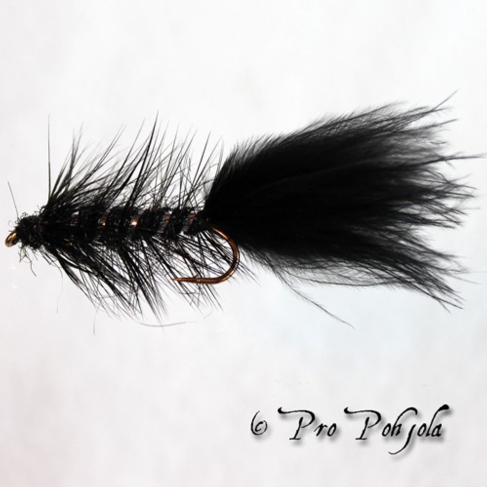 Leech 4kpl