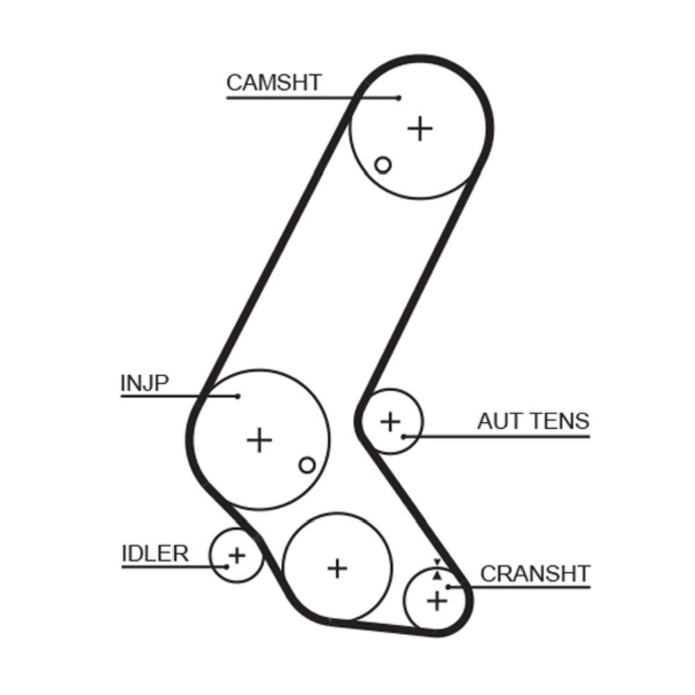 Kuggrem 25-6244