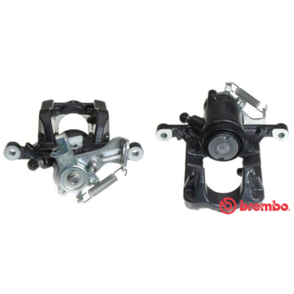 Jarrusatula 23-01425