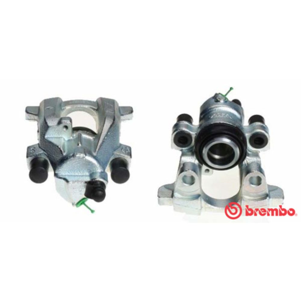 Jarrusatula 23-01165