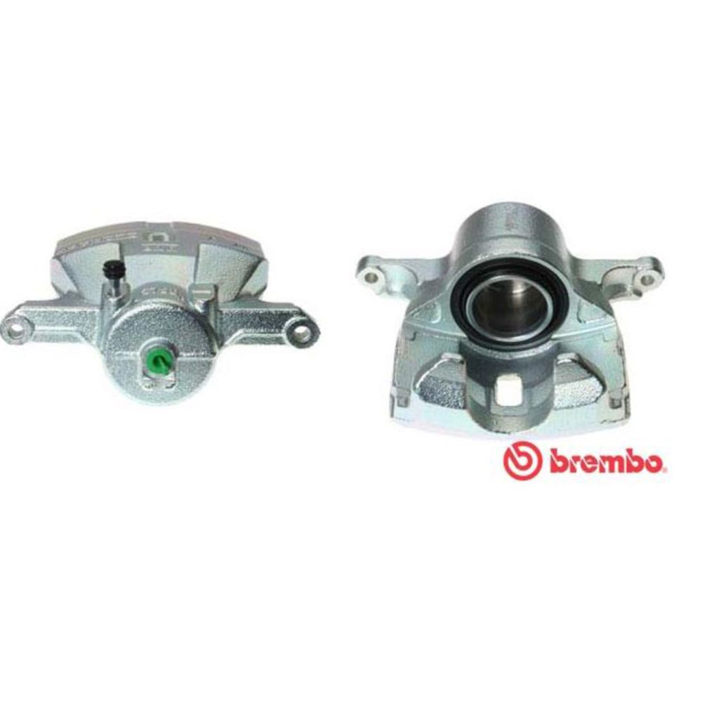 Jarrusatula 23-00189