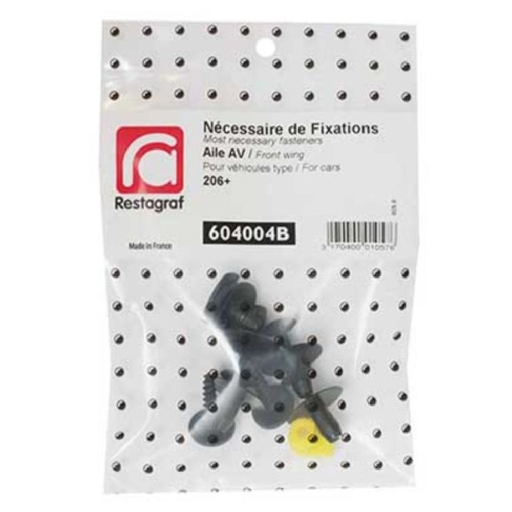 Kinnituskomplekt Peugeot poritiib 604004B 8 osa