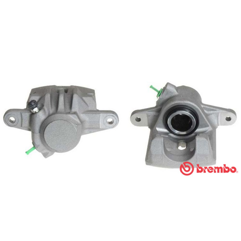 Jarrusatula 23-00489